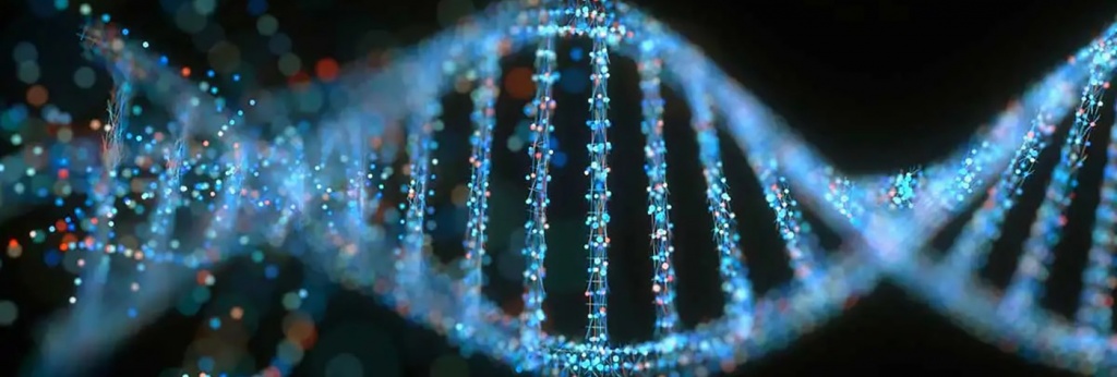 DNA 2.jpg DNA 2.jpg