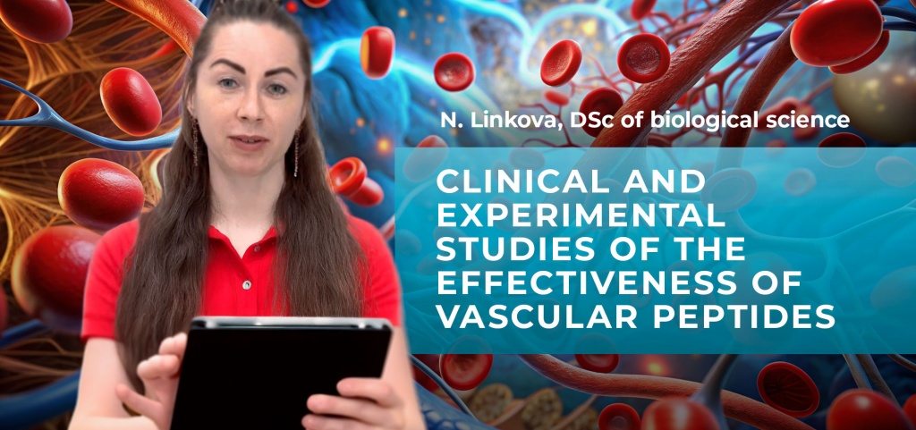 Clinical and experimental studies of the effectiveness of vascular peptides
