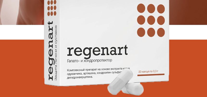 Regenart. Gemeinsame Genesung und Leberunterstützung