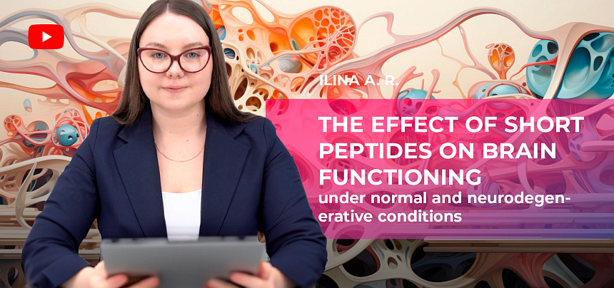 Die Wirkung kurzer Peptide auf die Gehirnfunktion unter normalen und neurodegenerativen Bedingungen