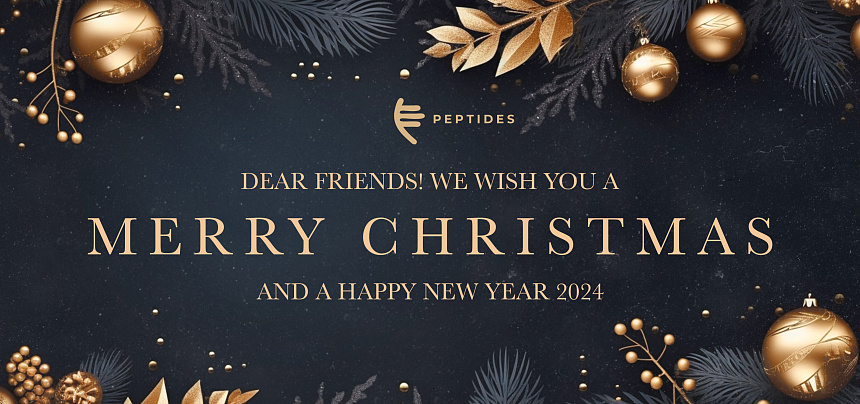 Frohe Weihnachten und ein gutes neues Jahr 2024!