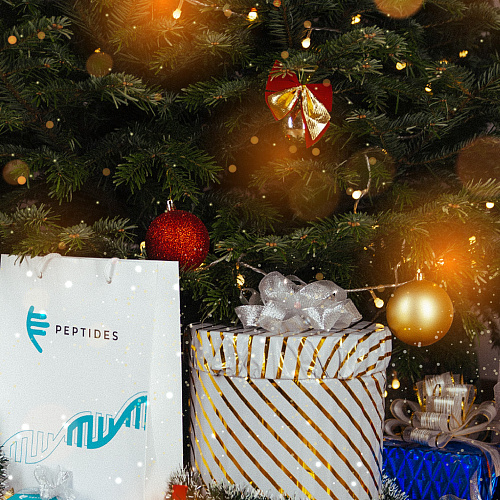 We wish you a Happy New Year and Merry Christmas!