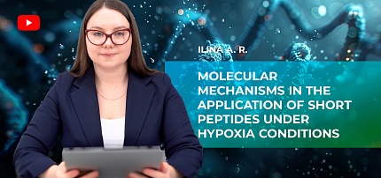 Molekulare Mechanismen bei der Anwendung kurzer Peptide unter Hypoxiebedingungen