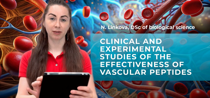 Klinische und experimentelle Studien zur Wirksamkeit von vaskulären Peptiden