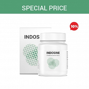 Sonderpreis „Indosin“