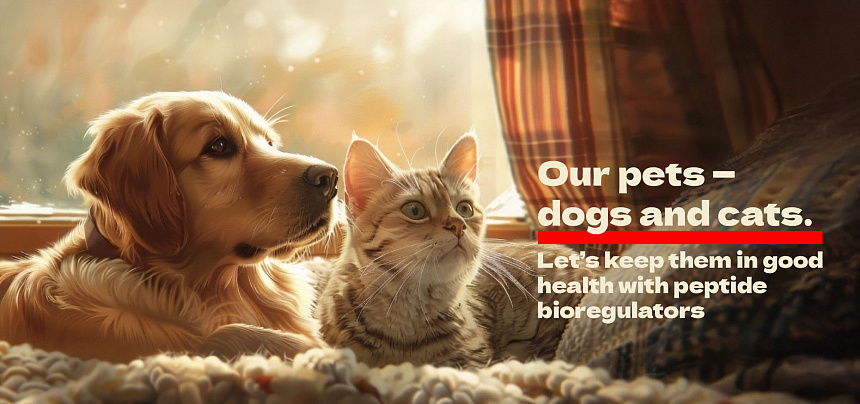 Unsere Haustiere – Hunde und Katzen. Halten wir sie mit Peptid-Bioregulatoren gesund