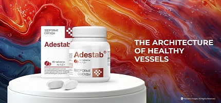 “Adestab”. The architecture of healthy vessels